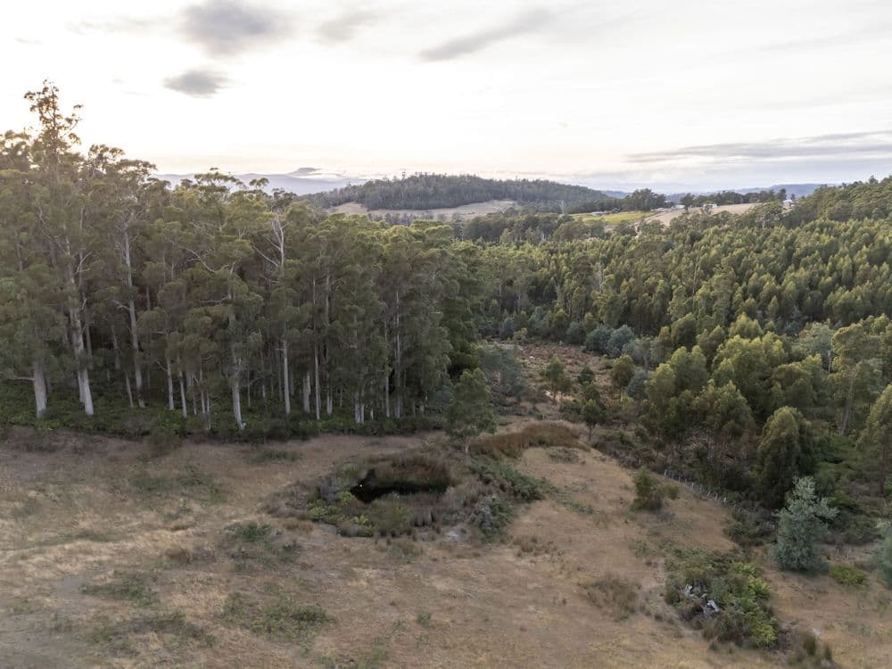 1 Glendale Road, SIDMOUTH, TAS 7270, Sidmouth - Thumbnail 4