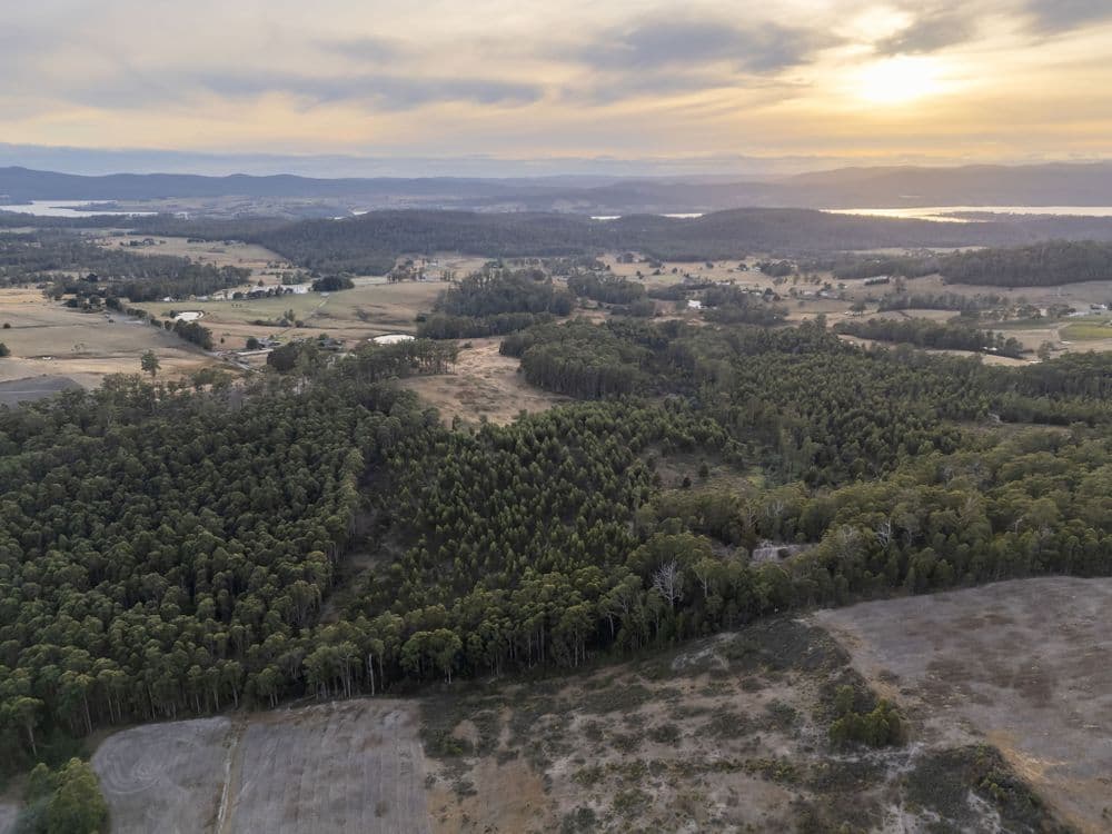 1 Glendale Road, SIDMOUTH, TAS 7270, Sidmouth - Thumbnail 6
