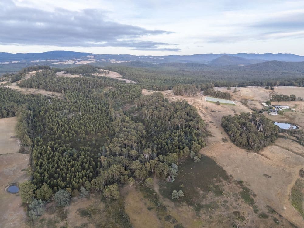 1 Glendale Road, SIDMOUTH, TAS 7270, Sidmouth - Thumbnail 8