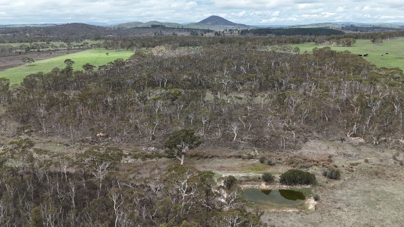 111 Farringdon Road, BRAIDWOOD, NSW 2622, Bombay - Thumbnail 3