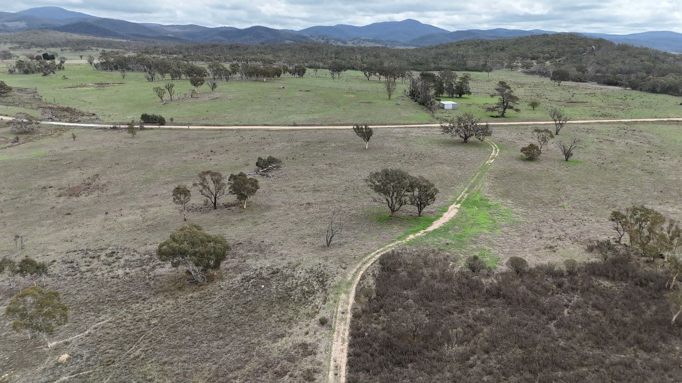 111 Farringdon Road, BRAIDWOOD, NSW 2622, Bombay - Thumbnail 6