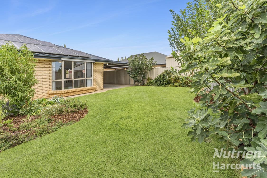 27 Flinders Street, RENMARK, SA 5341, Renmark - Thumbnail 3