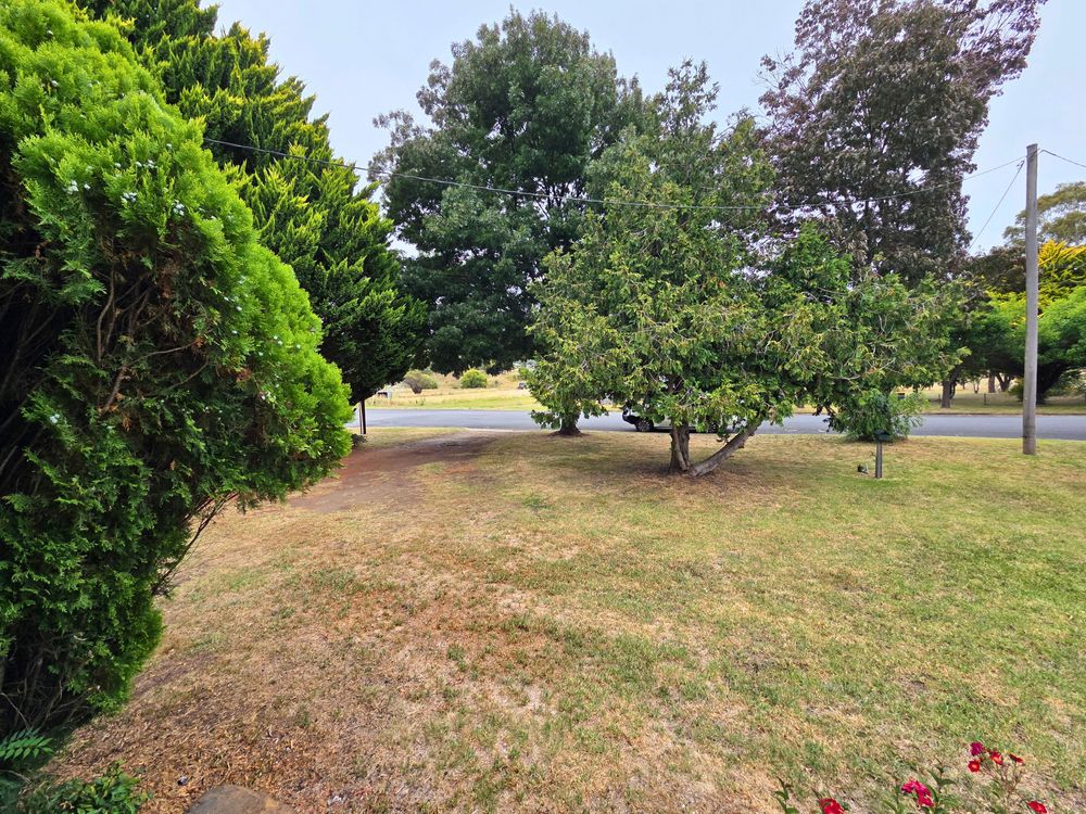 23 Grey Street, GLEN INNES, NSW 2370, Glen Innes - Thumbnail 6