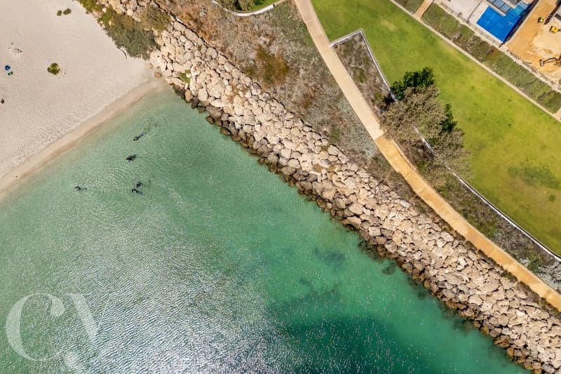 22 Chelydra Point, North Coogee, North Coogee - Thumbnail 6