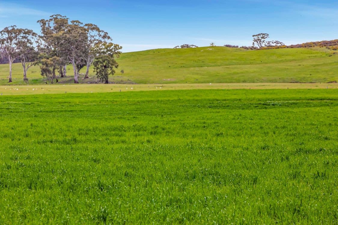 CA 36B/442 Frenchmans - St Arnaud Road, BARKLY, VIC 3384, Barkly - Image 1