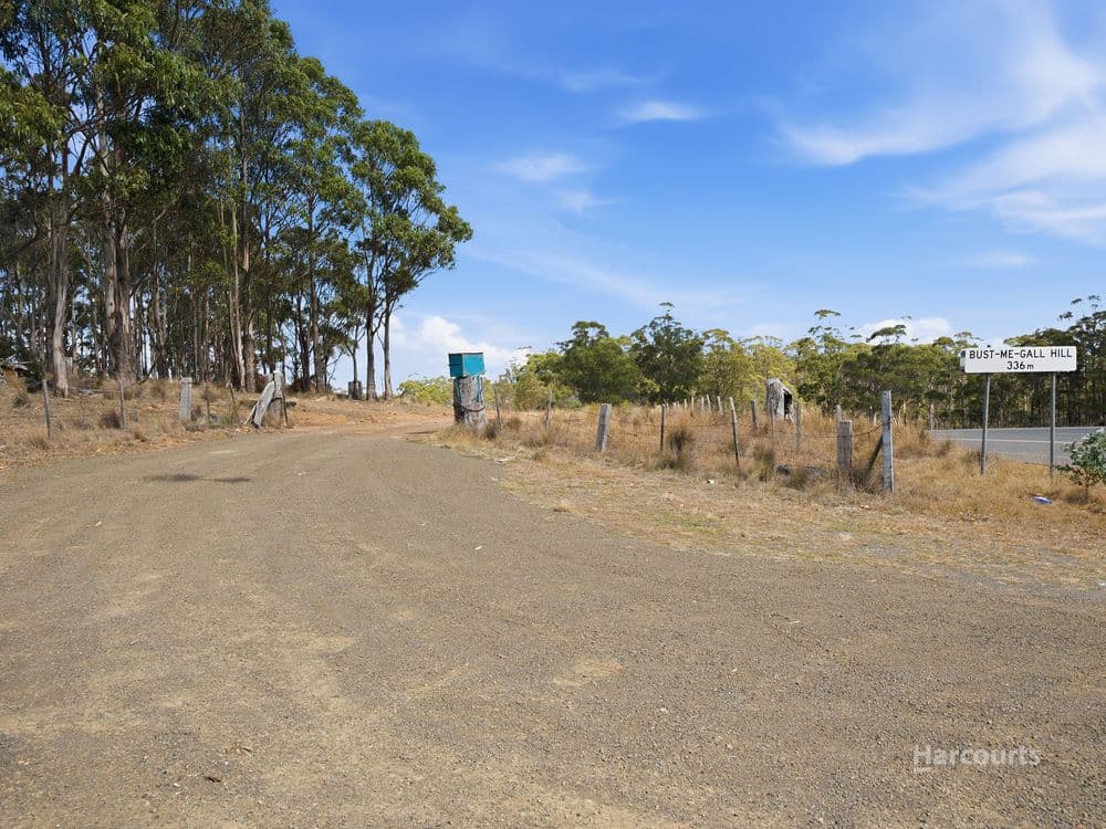 5008 Tasman Highway, BUCKLAND, TAS 7190, Buckland - Thumbnail 4