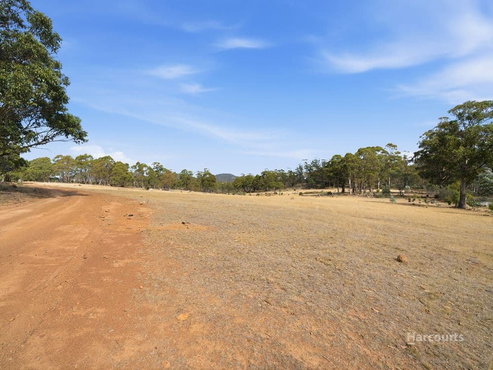 5008 Tasman Highway, BUCKLAND, TAS 7190, Buckland - Thumbnail 5
