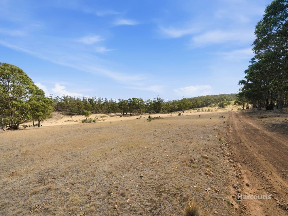 5008 Tasman Highway, BUCKLAND, TAS 7190, Buckland - Thumbnail 6