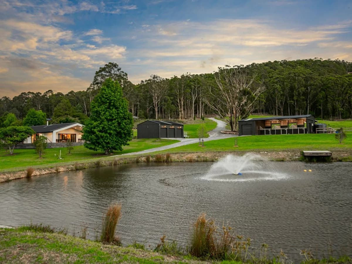 532 Jilliby Road, JILLIBY, Jilliby - Thumbnail 5