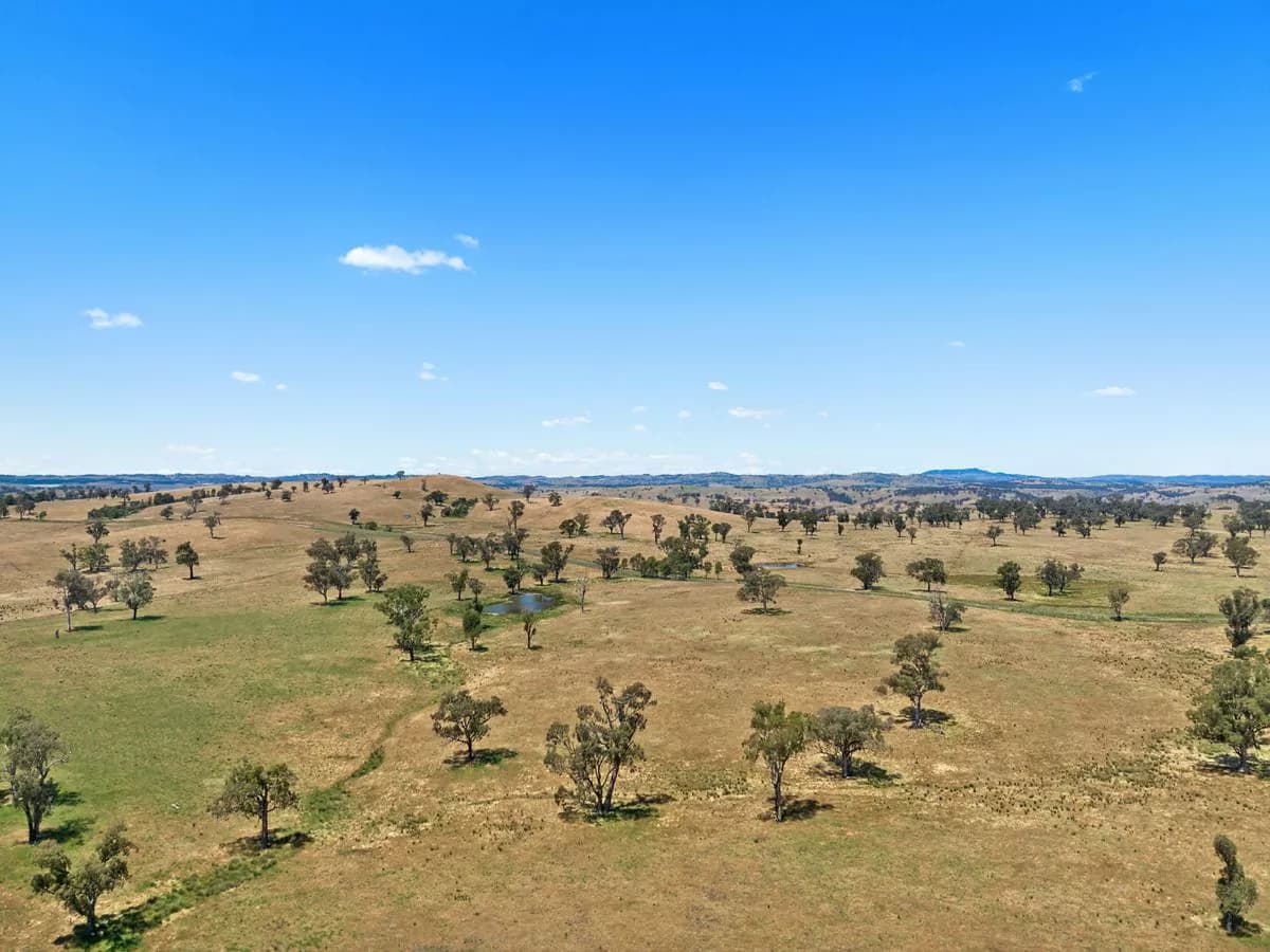 2593 Four Mile Creek Road, ORANGE, Orange - Thumbnail 2