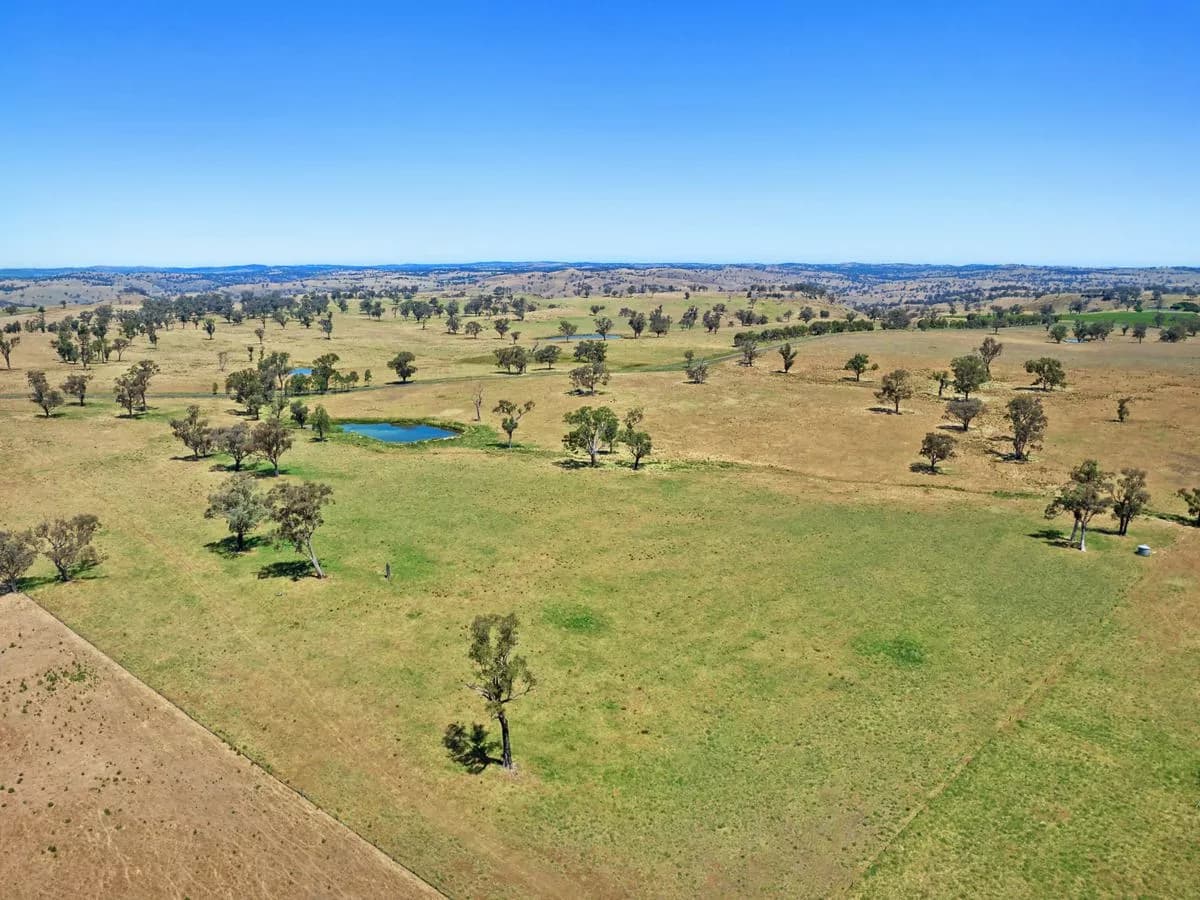2593 Four Mile Creek Road, ORANGE, Orange - Thumbnail 4