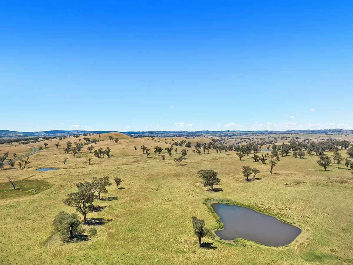 2593 Four Mile Creek Road, ORANGE, Orange - Thumbnail 5