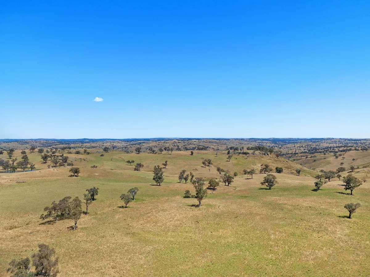 2593 Four Mile Creek Road, ORANGE, Orange - Thumbnail 6