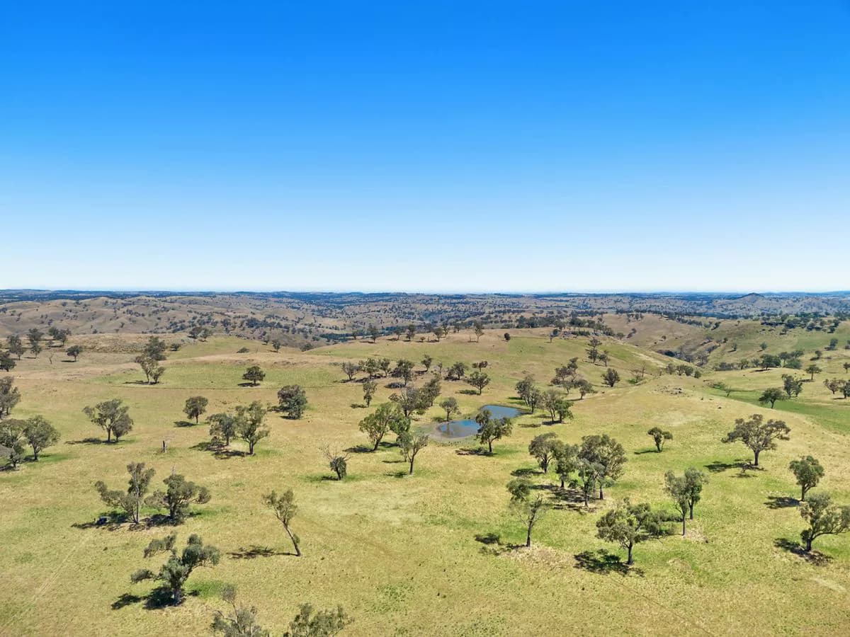 2593 Four Mile Creek Road, ORANGE, Orange - Thumbnail 8