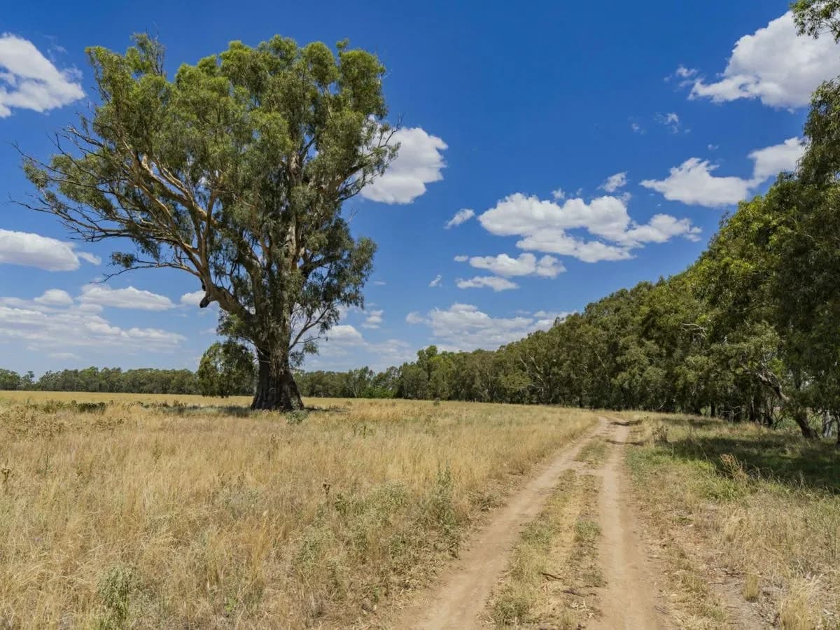 Lot 2 Newell Highway, GRONG GRONG, Grong Grong - Thumbnail 5