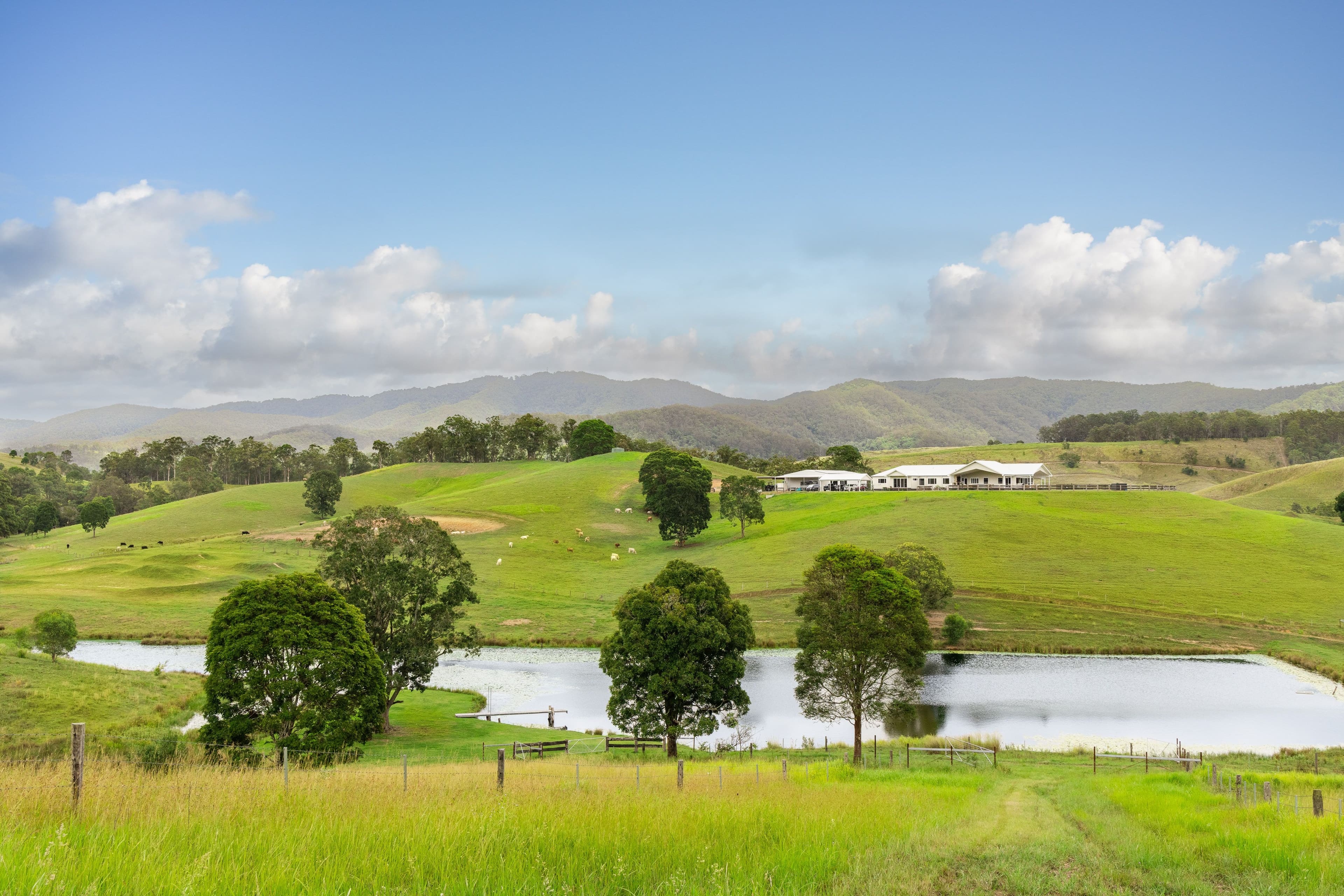 673 Laceys Creek Road, Laceys Creek QLD 4521, Laceys Creek - Thumbnail 3