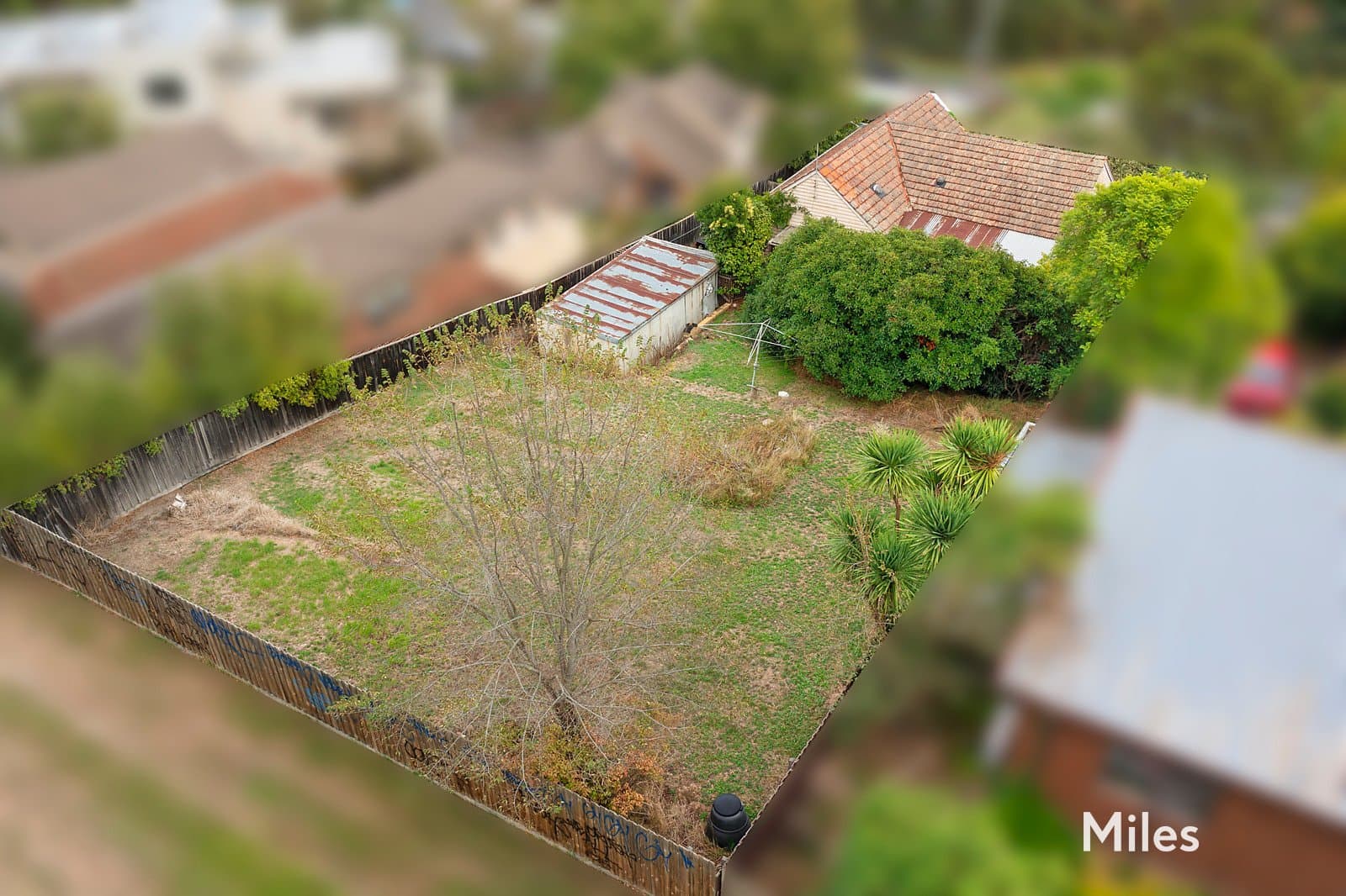 48 Rosanna Road, Heidelberg, Heidelberg - Thumbnail 5