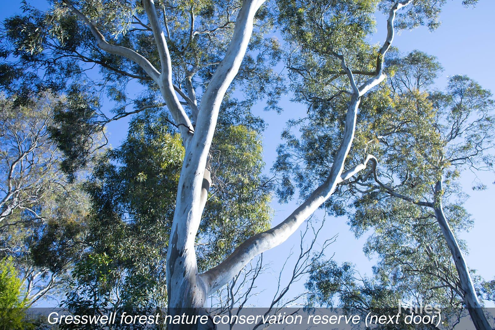 6 Crestwood Avenue, Macleod, Macleod - Thumbnail 2