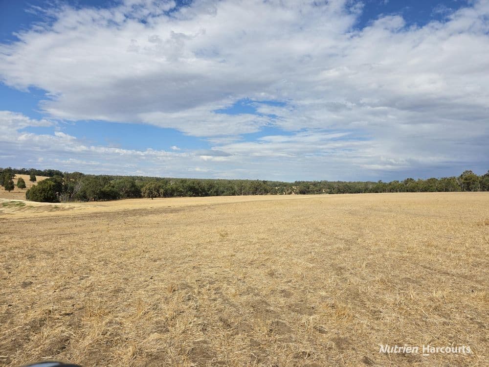 "Bloomvale", Bloomfields Road, SCOTTS BROOK, WA 6244, Bloomfields Road - Thumbnail 3