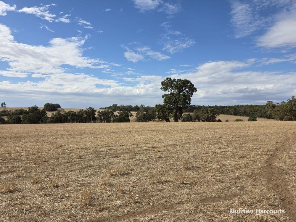 "Bloomvale", Bloomfields Road, SCOTTS BROOK, WA 6244, Bloomfields Road - Thumbnail 5