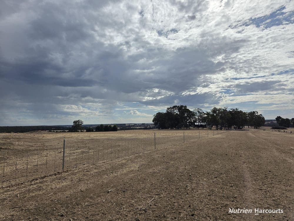 "Bloomvale", Bloomfields Road, SCOTTS BROOK, WA 6244, Bloomfields Road - Thumbnail 6