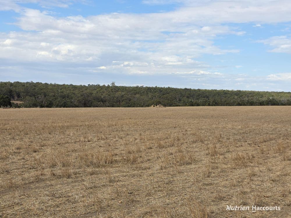 "Bloomvale", Bloomfields Road, SCOTTS BROOK, WA 6244, Bloomfields Road - Thumbnail 7
