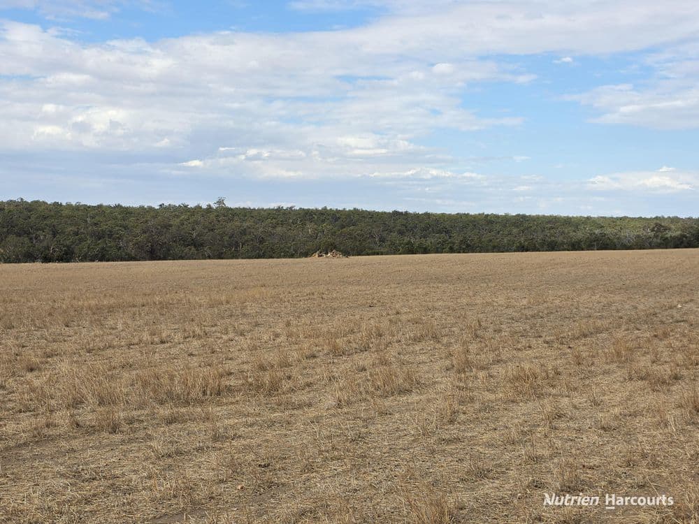 "Bloomvale", Bloomfields Road, SCOTTS BROOK, WA 6244, Bloomfields Road - Thumbnail 8
