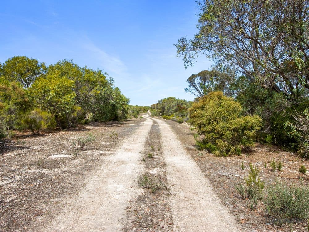 Sect. 230 Levens Road, WAROOKA, SA 5577, Warooka - Image 1