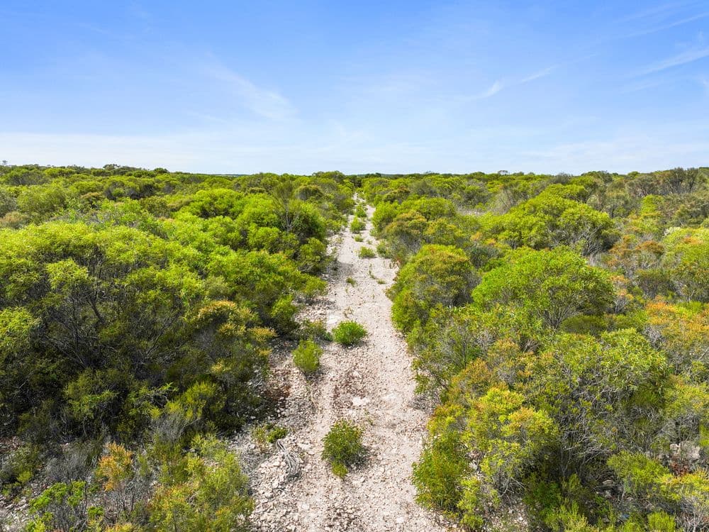 Sect. 230 Levens Road, WAROOKA, SA 5577, Warooka - Thumbnail 2