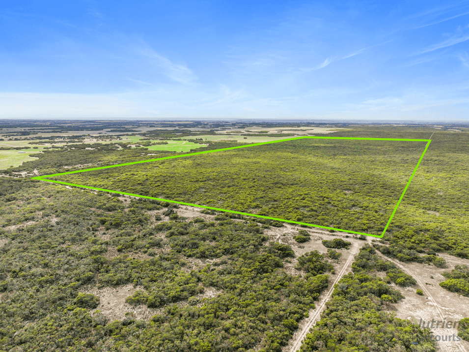 Sect. 230 Levens Road, WAROOKA, SA 5577, Warooka - Thumbnail 3
