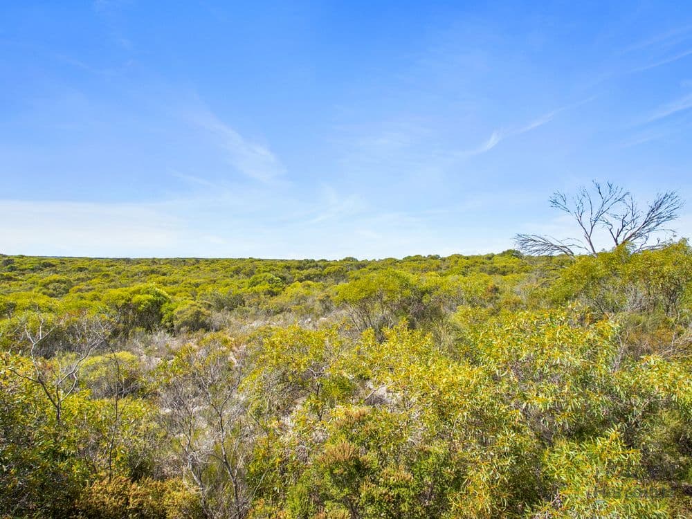Sect. 230 Levens Road, WAROOKA, SA 5577, Warooka - Thumbnail 7