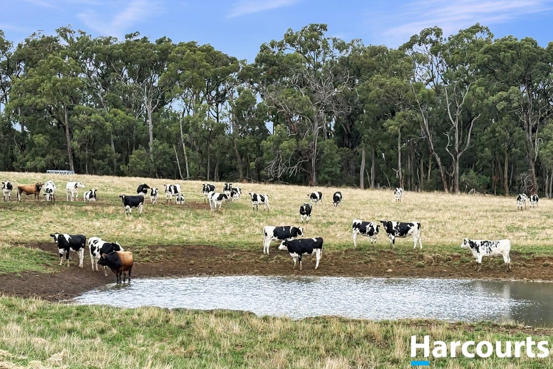210 Frys Road, LEONGATHA SOUTH, VIC 3953, Leongatha South - Image 1