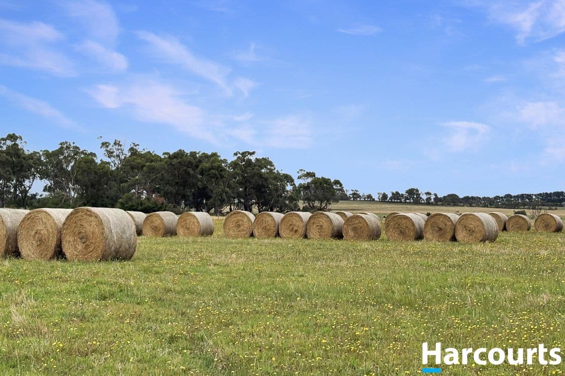 210 Frys Road, LEONGATHA SOUTH, VIC 3953, Leongatha South - Thumbnail 5