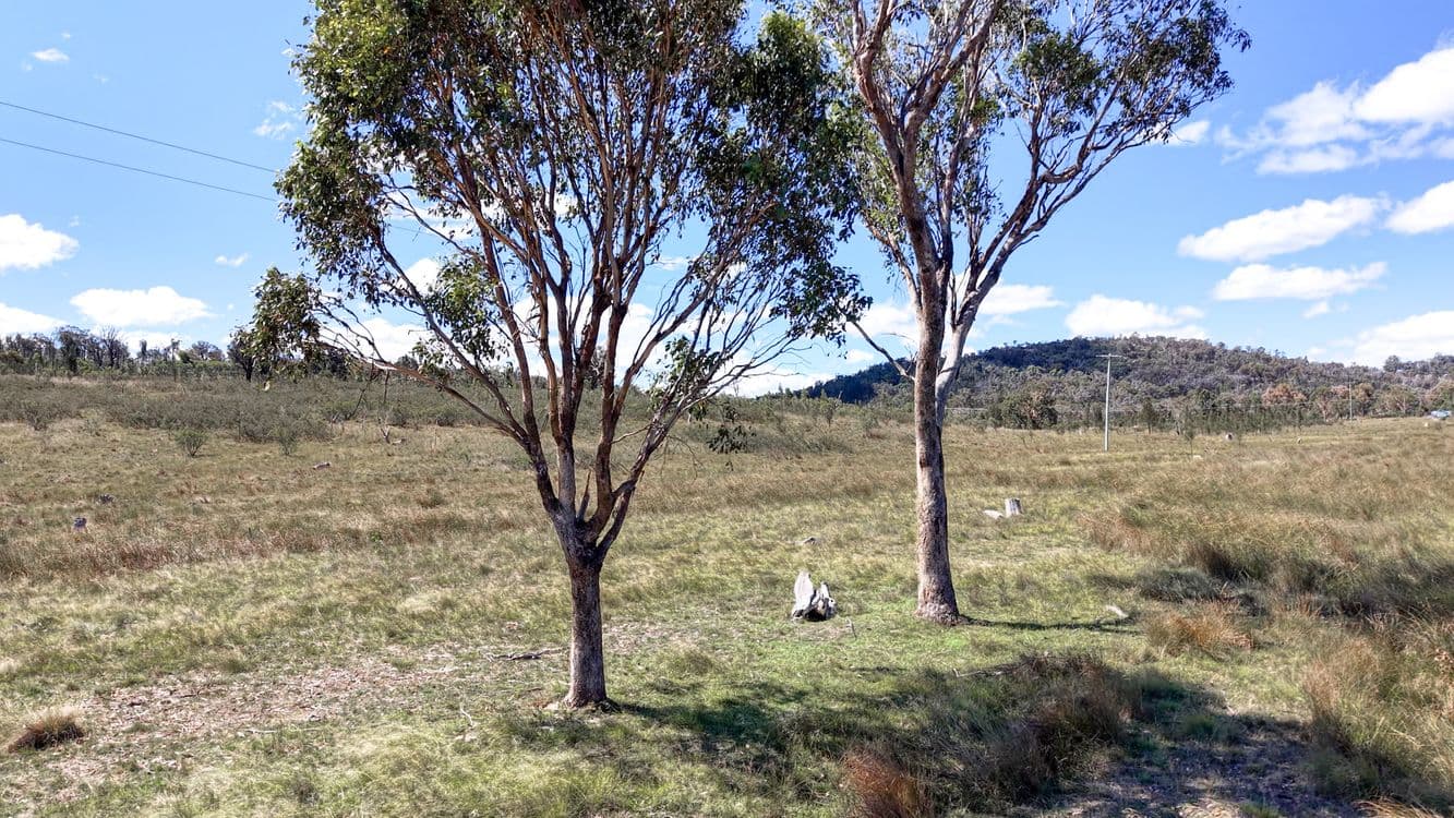 72 Tarban Road, TENTERFIELD, NSW 2372, Tenterfield - Thumbnail 3