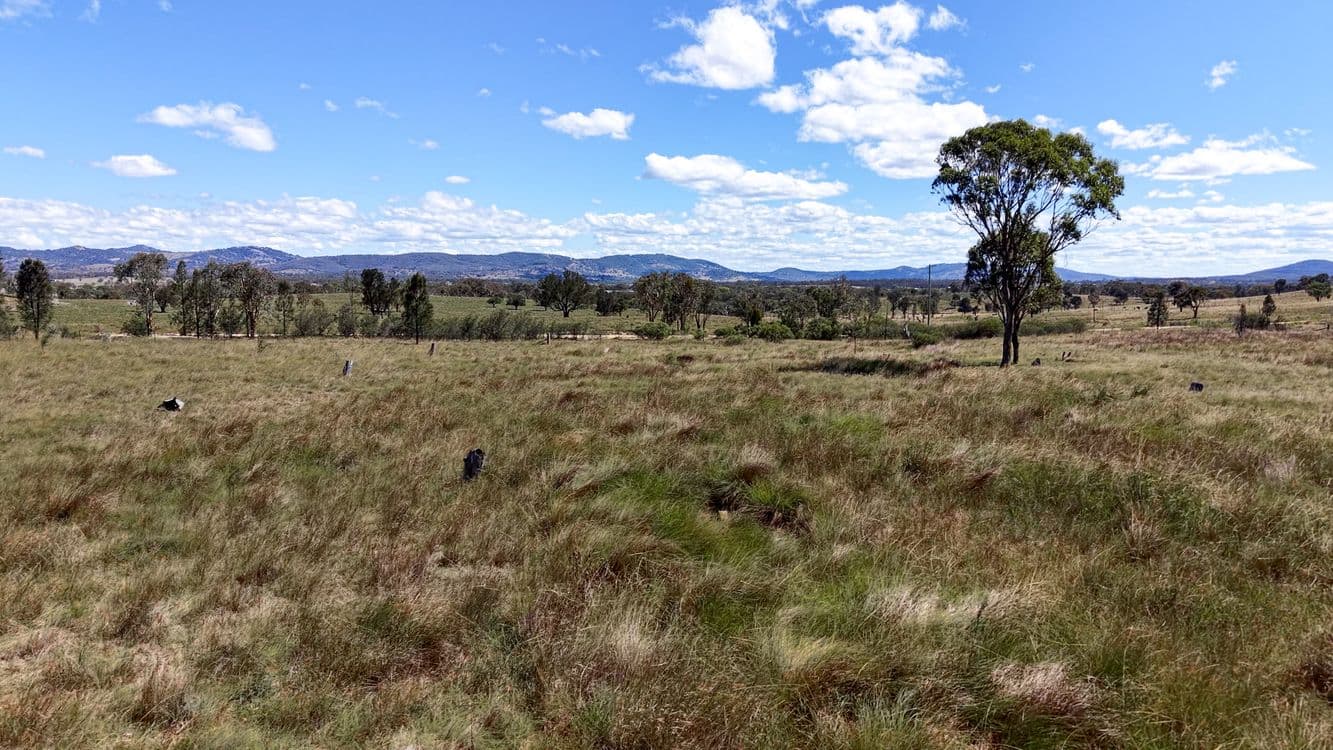 72 Tarban Road, TENTERFIELD, NSW 2372, Tenterfield - Thumbnail 5