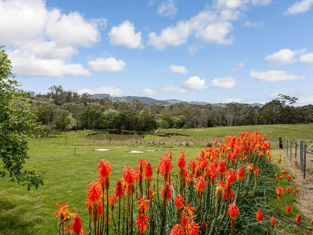 106 Cawthornes Lane, BRAIDWOOD, NSW 2622, Majors Creek - Thumbnail 5