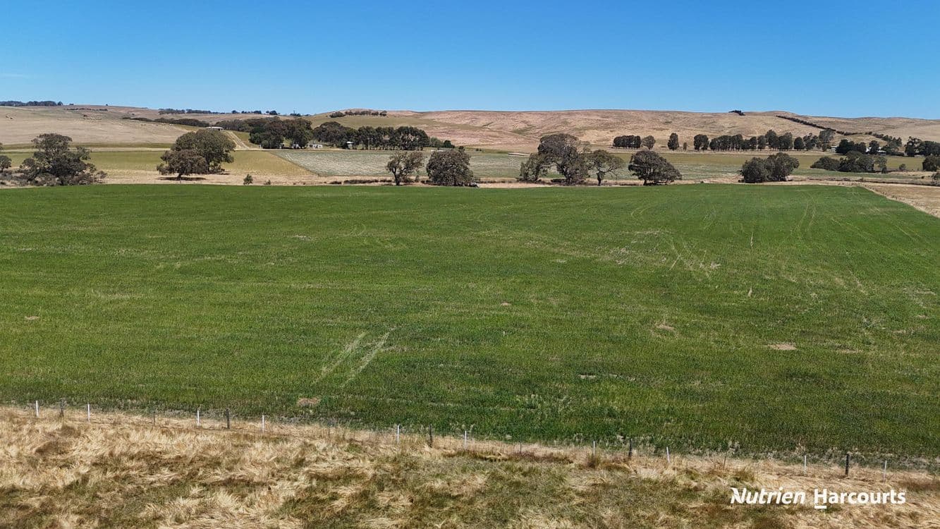 3857 Glenelg Highway, COLERAINE, VIC 3315, Coleraine - Thumbnail 2