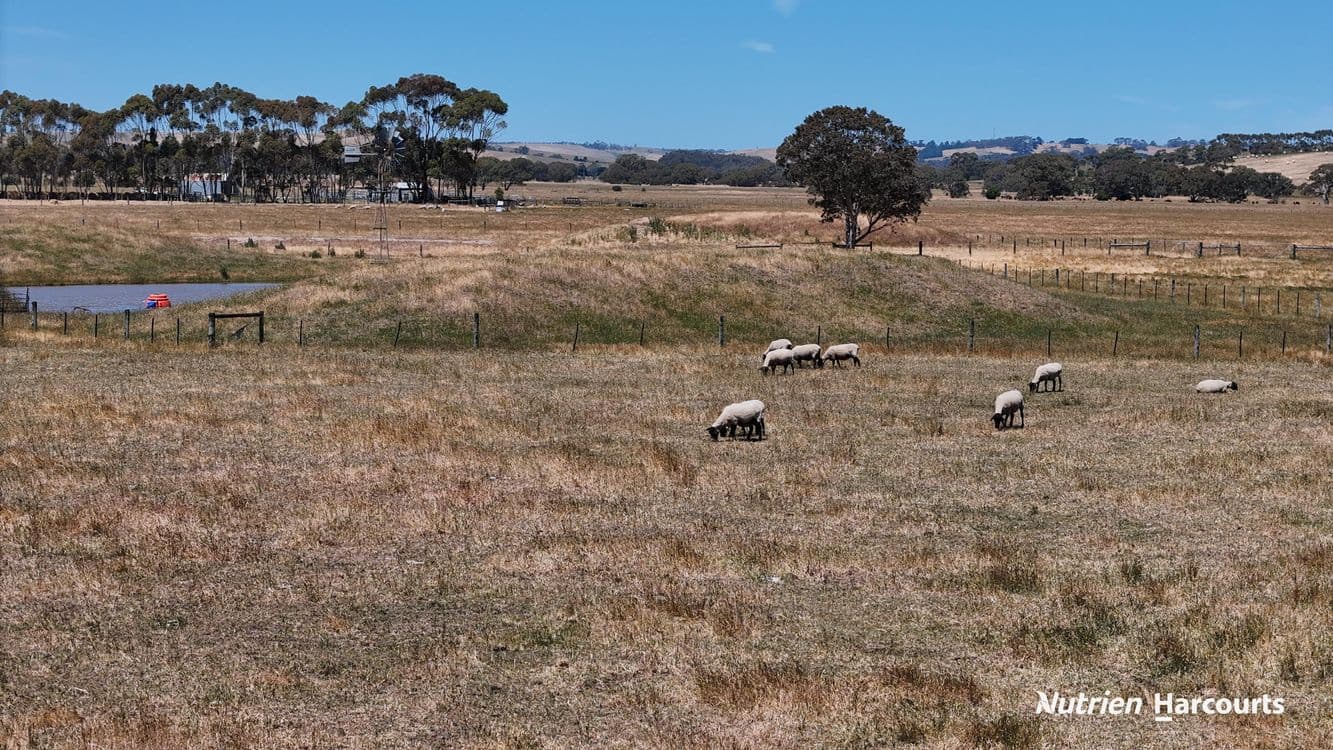 3857 Glenelg Highway, COLERAINE, VIC 3315, Coleraine - Thumbnail 4