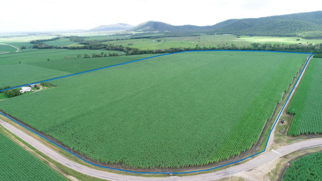 GIRU QLD, Giru - Thumbnail 3