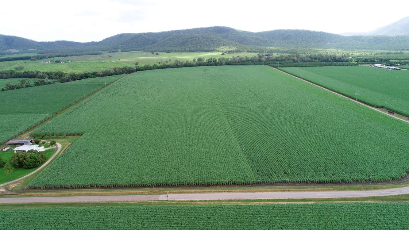 GIRU QLD, Giru - Thumbnail 4