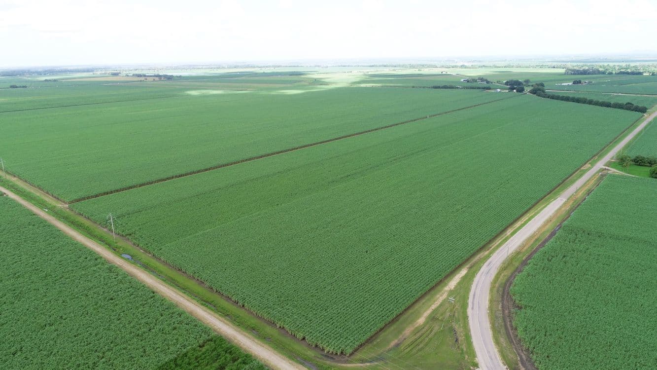GIRU QLD, Giru - Thumbnail 5