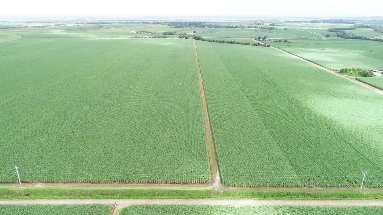 GIRU QLD, Giru - Thumbnail 8