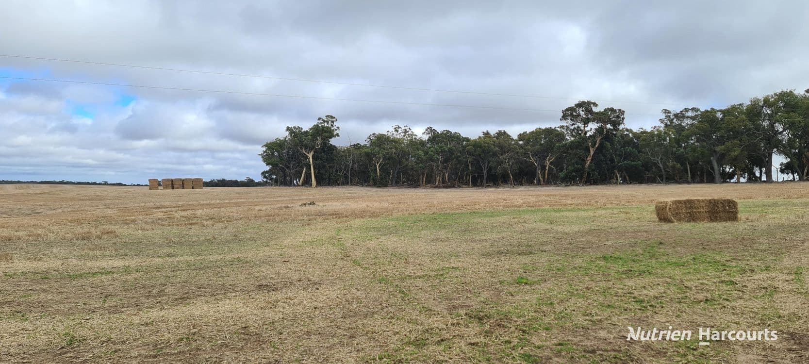 Lot 347 Yarralena Road, CRANBROOK, WA 6321, Cranbrook - Thumbnail 2