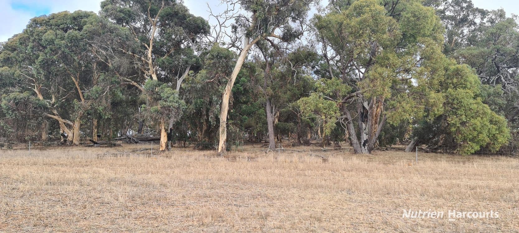 Lot 347 Yarralena Road, CRANBROOK, WA 6321, Cranbrook - Thumbnail 3