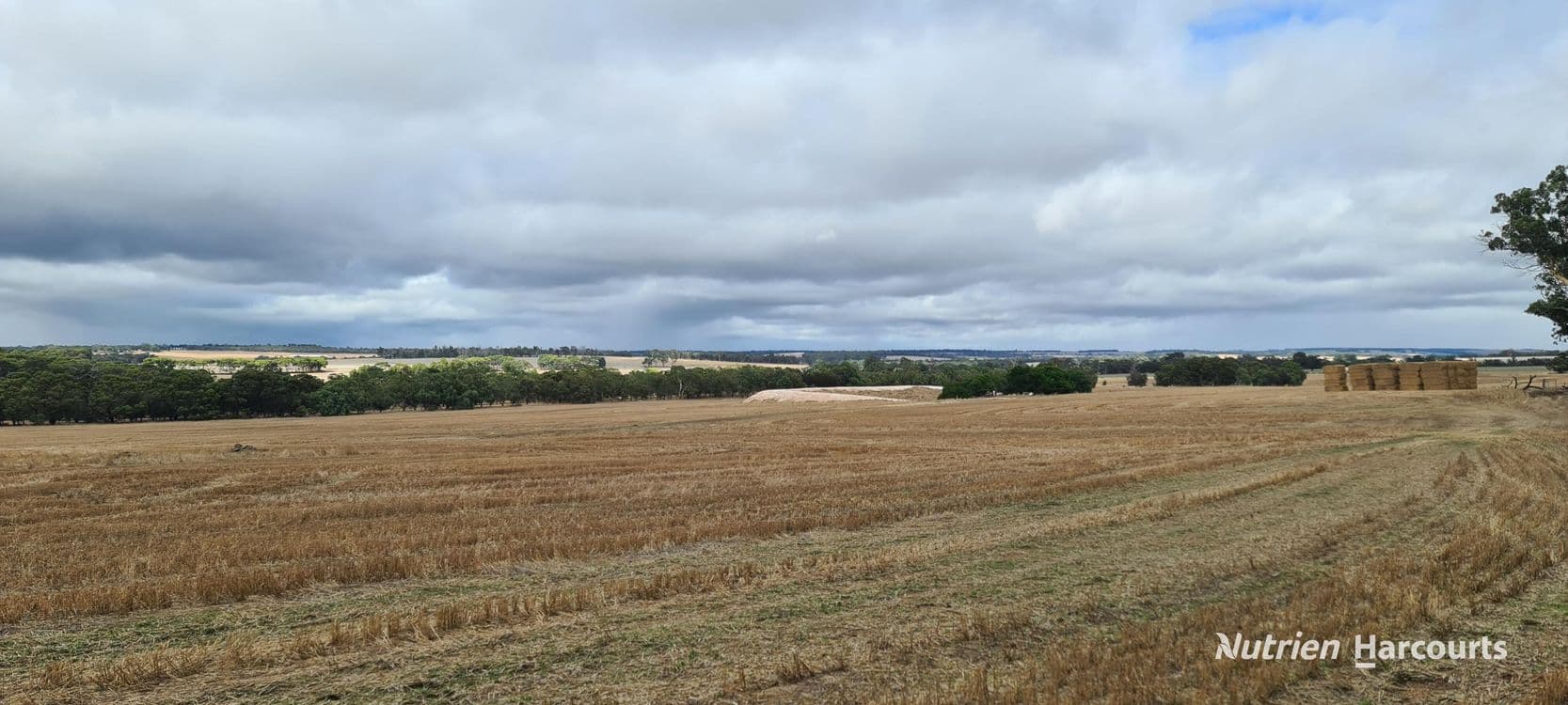 Lot 347 Yarralena Road, CRANBROOK, WA 6321, Cranbrook - Thumbnail 4