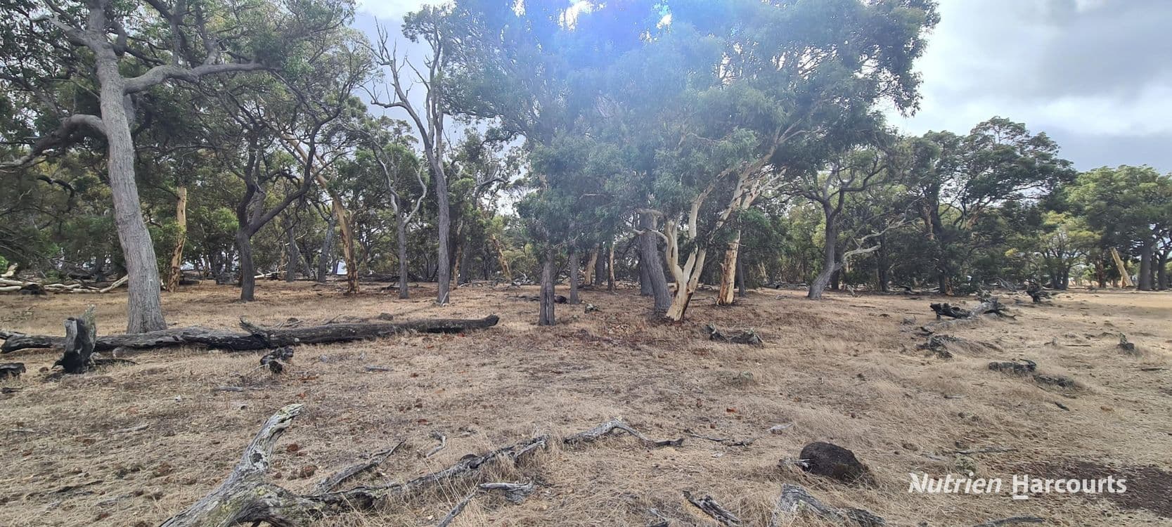 Lot 347 Yarralena Road, CRANBROOK, WA 6321, Cranbrook - Thumbnail 5