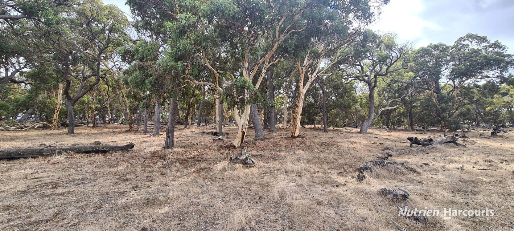 Lot 347 Yarralena Road, CRANBROOK, WA 6321, Cranbrook - Thumbnail 6