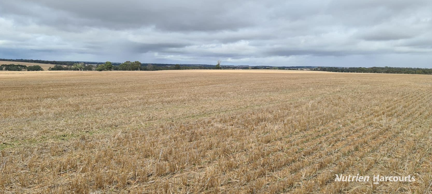 Lot 347 Yarralena Road, CRANBROOK, WA 6321, Cranbrook - Thumbnail 7