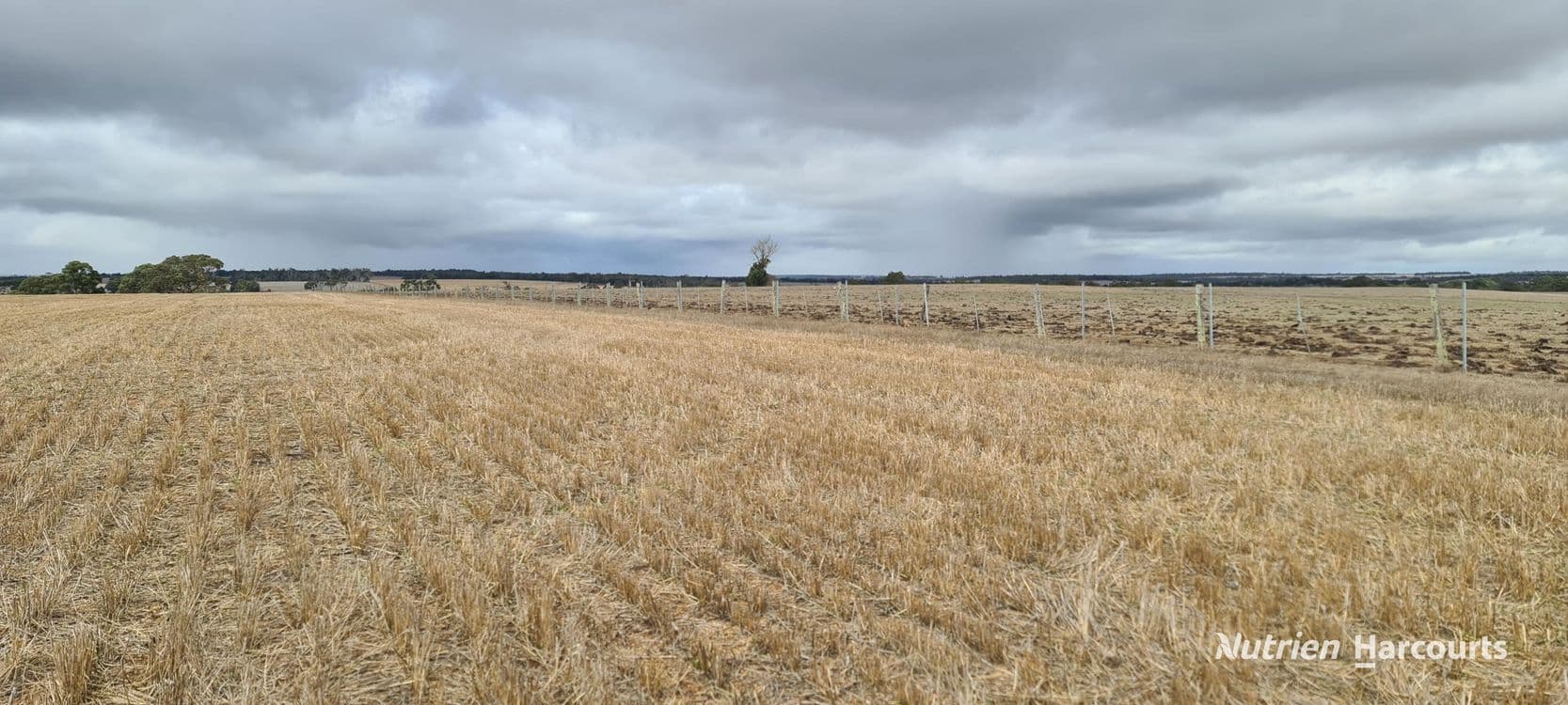 Lot 347 Yarralena Road, CRANBROOK, WA 6321, Cranbrook - Thumbnail 8