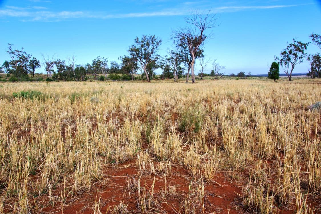 2381. Killarney Gap Road, NARRABRI, NSW 2390, Narrabri - Thumbnail 3